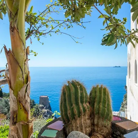 Apartment Mareblu